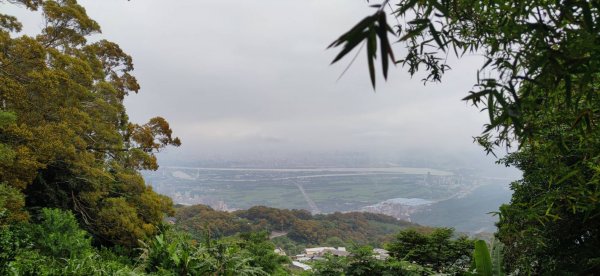 20230512 陽明山東西大縱走活動2252854