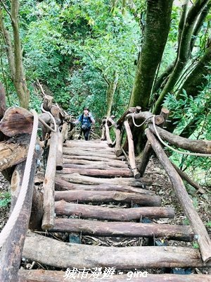 【台中北屯】大坑1號步道3095063