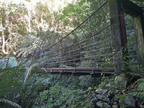 東卯山東南稜串德芙蘭步道364266