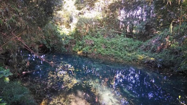 2018 12/2 拉索埃湧泉879500