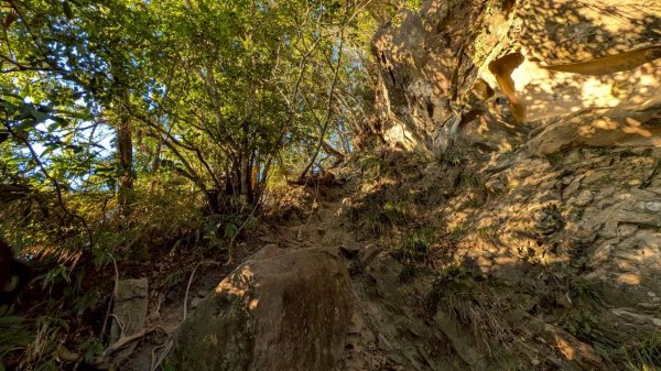 大橫屏山步道2977342