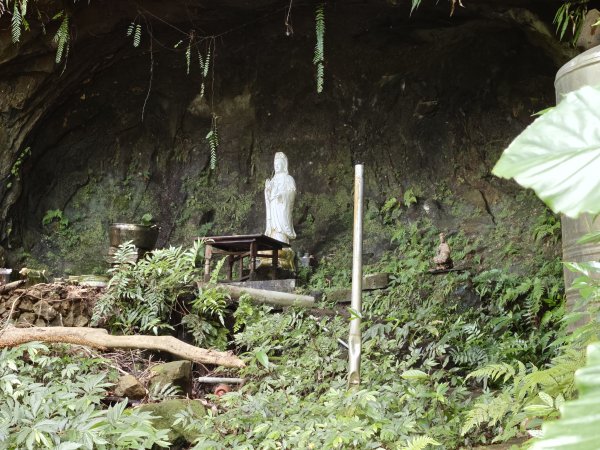 [淡蘭古道] 2026_0523 南路第一段_樹梅古道3069605