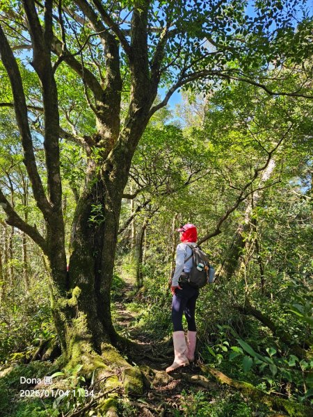 20260104源茂山.源茂山西峰.和尚髻山O走+親水觀魚步道2977724