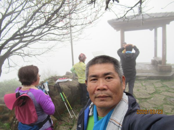 汐止大尖山908480