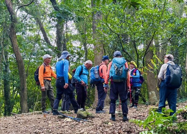 太元宮-關西玉山前-玉山/南柯山-東獅頭山/赤柯山南峰-赤柯山-太元宮 O繞2958039