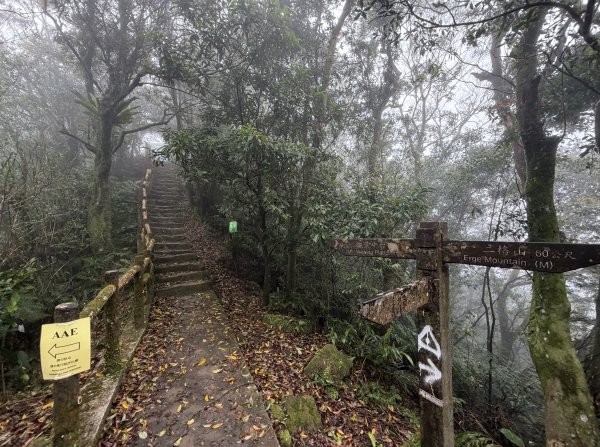 [微笑山線_第八段] 2026_0321 二格山系_二格山3020930