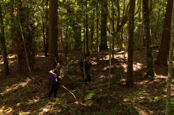 【秀巒-芝生毛台山】砲台遺址1030528