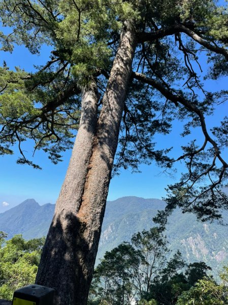 谷關七雄  老二  馬崙山  郊遊1469048