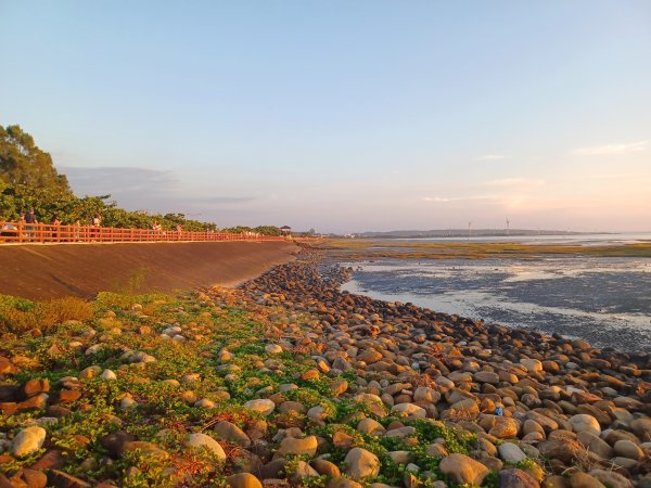 【苗栗新竹】通霄神社x通霄虎頭山步道x新竹香山濕地賞蟹步道2925436