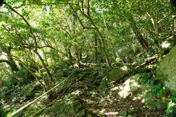 宜蘭 南澳 御恩山2892662