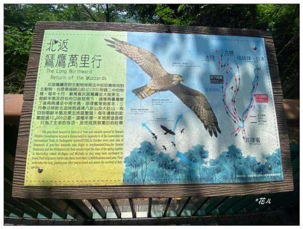 十二分埔山、大嶺巷步道 (彰化、花壇)3058184