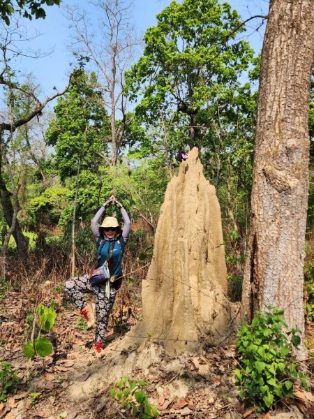 尼泊爾奇旺國家公園4天三夜2788912