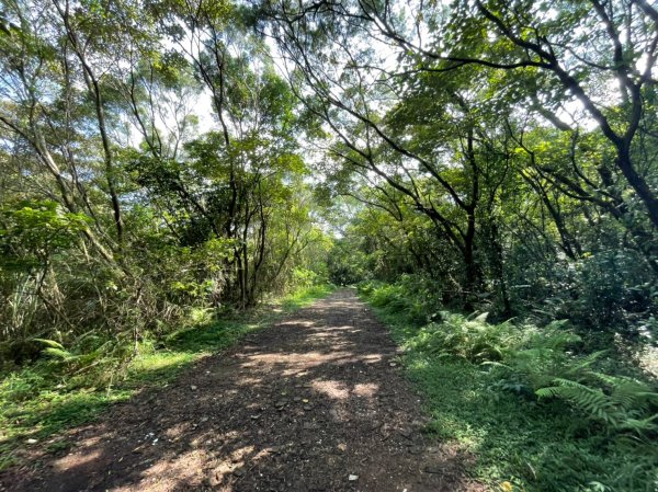 台北｜北投．士林 臺北大縱走第一段1487843