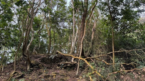 六龜警備道/茂林段/網子山～鳴海山2708188