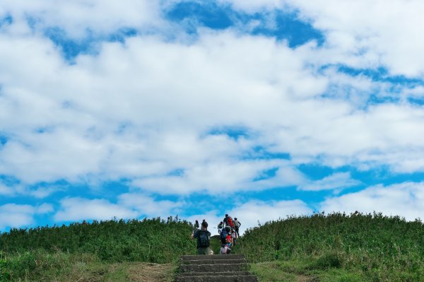 大嶺、草嶺古道大O型1523629