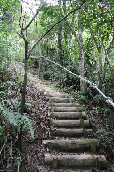 淡蘭中路平湖西步道1002834