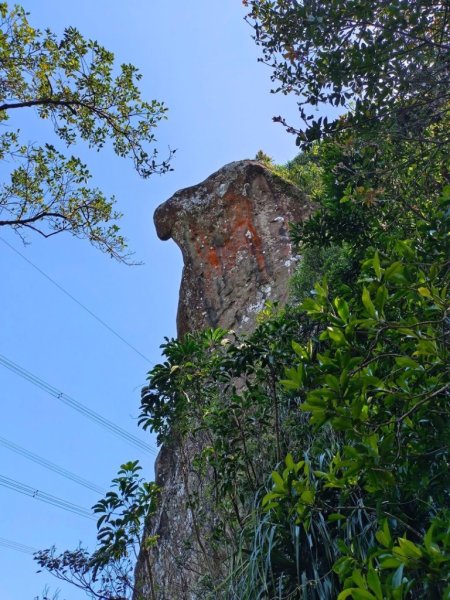 微笑山⛰️線-大棟-二格山-五分山-天上山-鳶山💎12條步道完成💙2834191