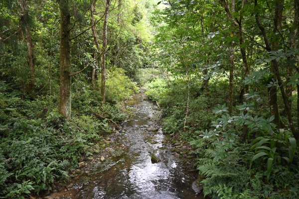 2025_0712 福山植物園2836175