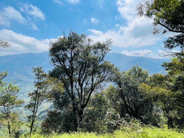 1140319仙山-仙山南峰2738254