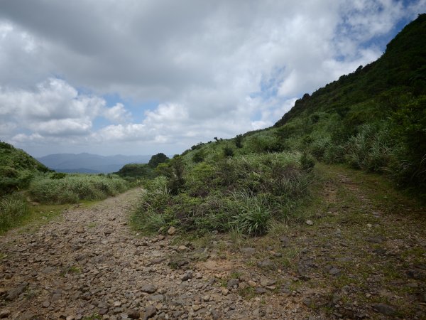 [淡蘭古道] 2026_0531 北路第一段_燦光寮古道(中)-陡坡3070883