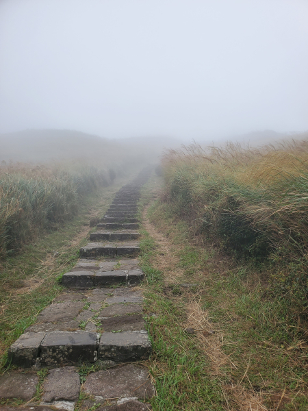 冷苗秋芒，七星主東