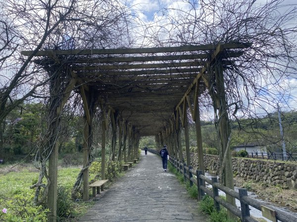 🚗從淡金公路出發｜三生步道櫻花與田園風光・春日療癒散步3018748