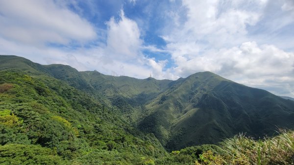 大屯溪古道清涼行-202407142601024