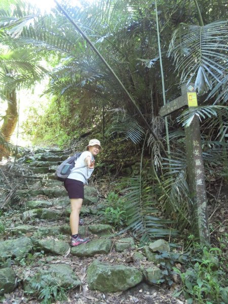 德芙蘭生態步道O形2829441