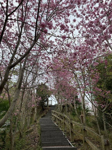 花石溪步道1294551