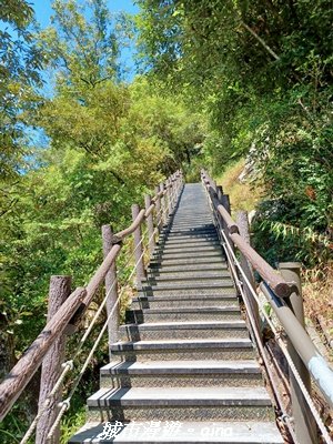 【台中和平】山林靜謐時光。 捎來步道2989212