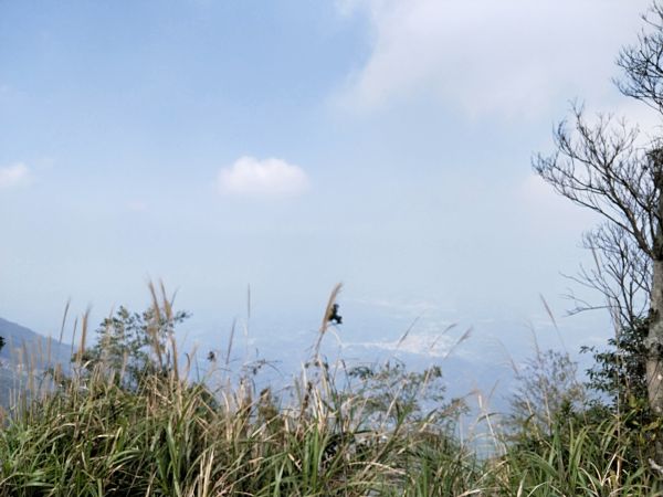 梨子腳山步道284677