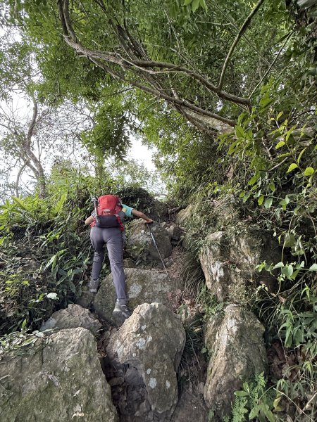 烏山縱走半程 (雲山寺~刣牛湖山) 來回 202504272773730