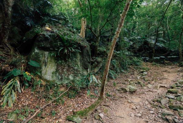 錐麓古道 Zhuilu Old Road ・走在徒手刻鑿的大理石山壁中【Silent Hiking】2434619