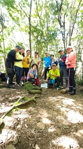 大混李棟山2816349