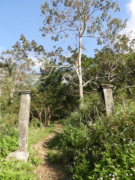 錐麓古道我獨行196151