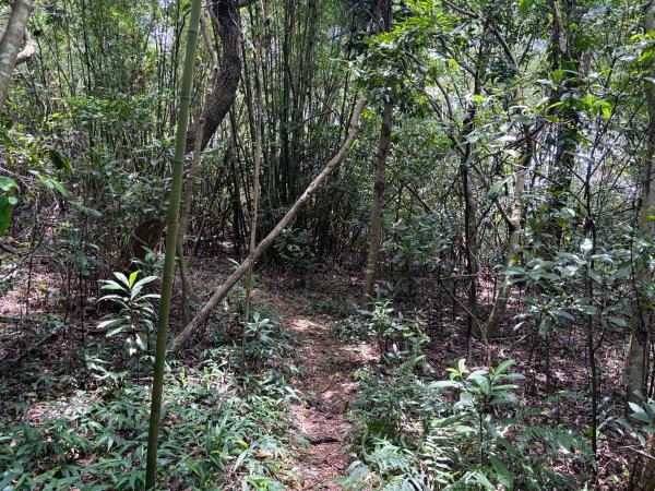 三段崎古道2835538