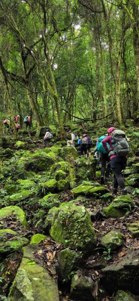 縱走大鳥鵝2828378