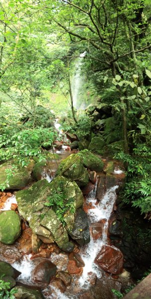 台北陽明山 - 絹絲步道446843