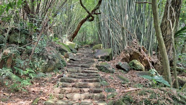 20240305坪頂古圳-登峰圳-內雙溪古道-瑪礁古道-大崎頭步道O繞2447160