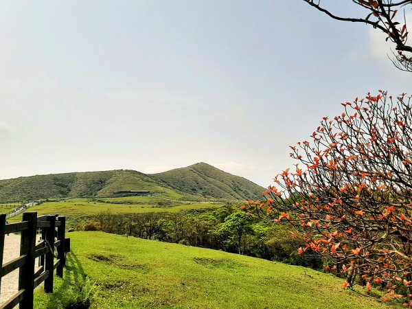 走遍陽明山：擎天崗系｜景遠心自闊，潺潺溪水聲洗去一身憂2113824