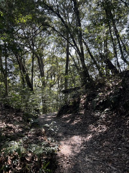 小百岳-稍來山2752448