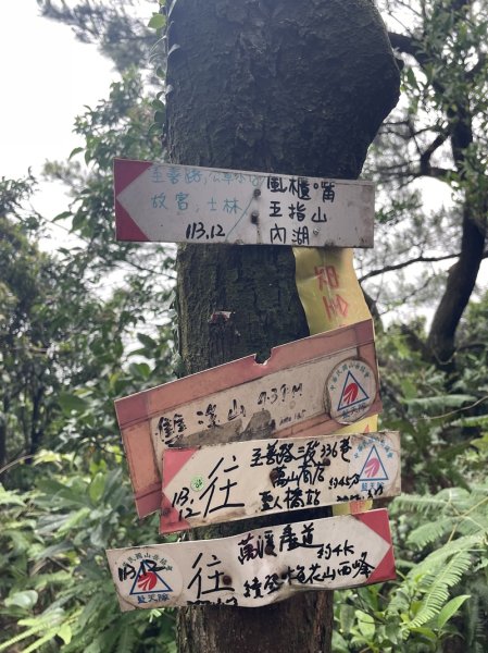 台北大縱走第四段2798710