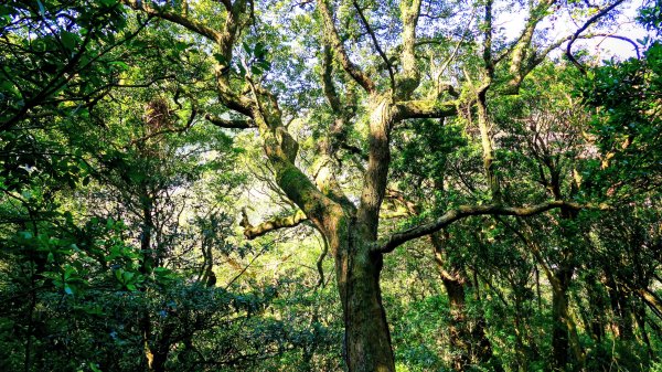 經營時間的早餐店2993555