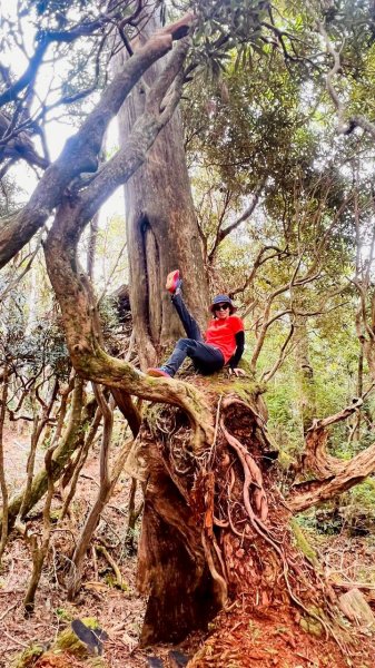 🌈9/7（日）夫拉縱走（夫婦山縱走拉拉山）✨FB：熊熊趴爬走🌈2880910