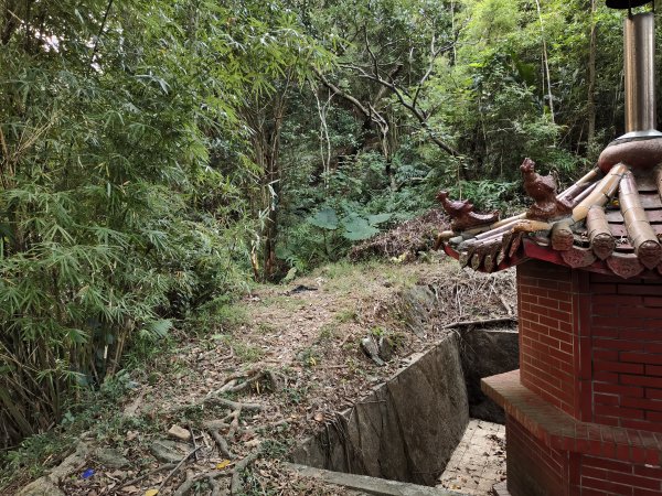 [百山百鳥尋旅-13/15] 2025_0929 圓覺寺步道2900786