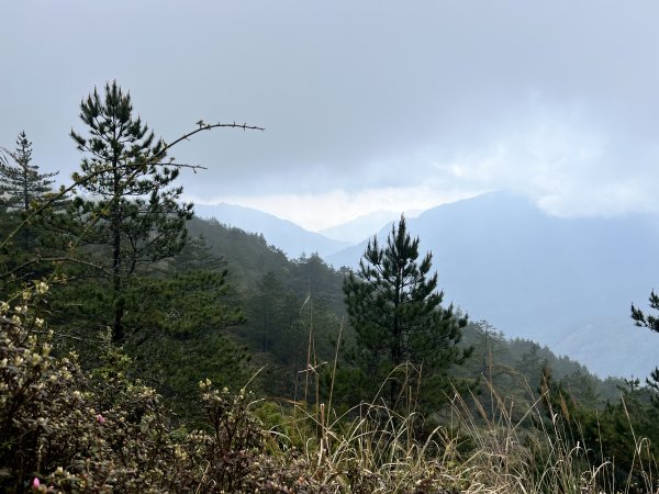 合歡山北峰2155851