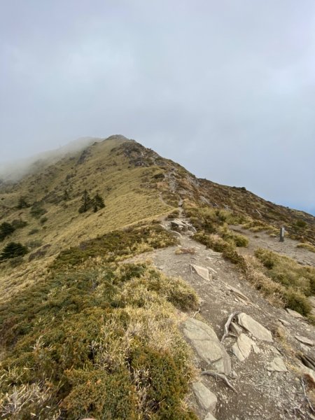 合歡北峰。時晴時霧時雲雨1481398