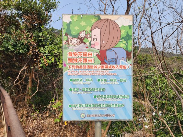 小百岳No.77⛰壽山3025151