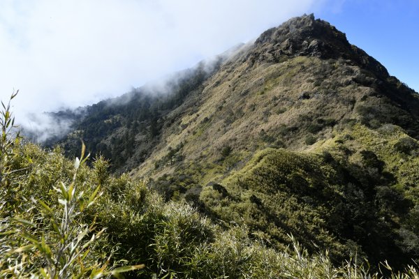 尋一段老獵路：深堀山西南稜（順訪卡賀爾山）916752