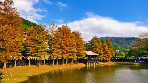 #花卉試驗中心 #永公路500巷 #平菁街42巷 #原住民公園 #士林官邸 1/42980345